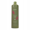 Szampon do włosów - ECHOSLINE Colour Care 1000ml