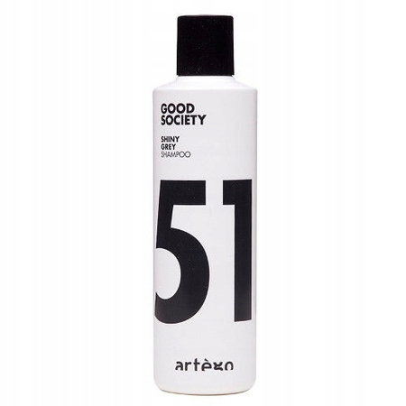 Szampon do włosów - ARTEGO Good Society Shiny Grey 250ml